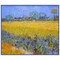 Arles Field Irises Impressionist Vincent Van Gogh Counted Cross Stitch Pattern